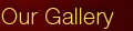Our Gallery